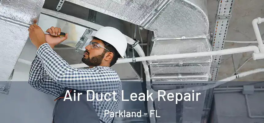 Air Duct Leak Repair Parkland - FL