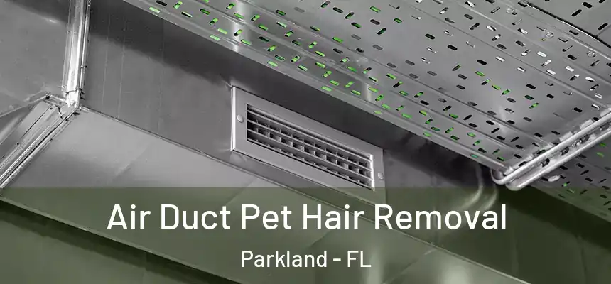 Air Duct Pet Hair Removal Parkland - FL