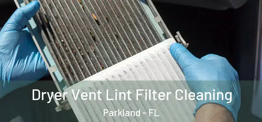  Dryer Vent Lint Filter Cleaning Parkland - FL