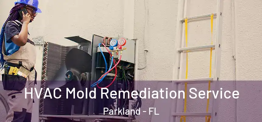 HVAC Mold Remediation Service Parkland - FL