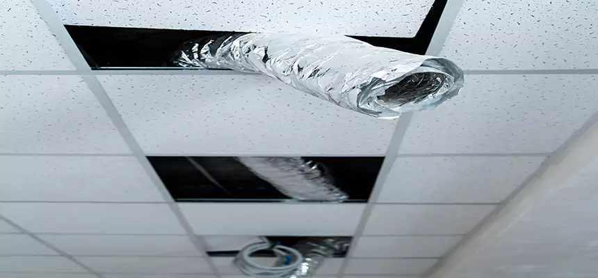 Affordable HVAC Sanitizing After Pest Removal in Parkland