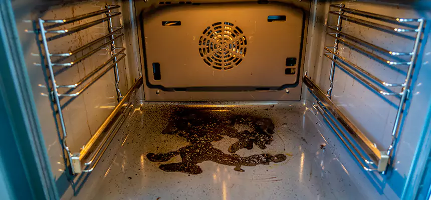 Our Dryer Vent Mold Cleaning Services in Parkland, FL