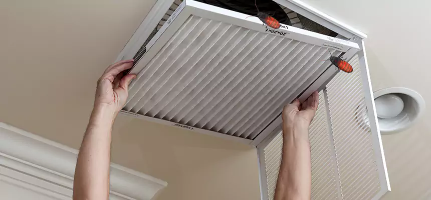 Our Insect Removal from Air Ducts Services in Parkland, FL
