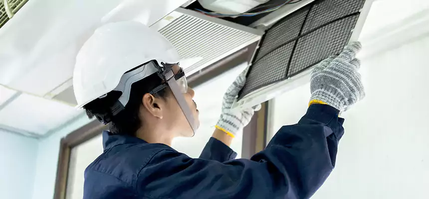 Our Mold & Mildew Removal from Air Ducts Services in Parkland, FL