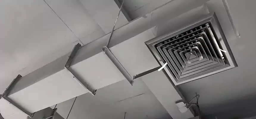 Our Pest Removal From Ducts Services in Parkland, FL