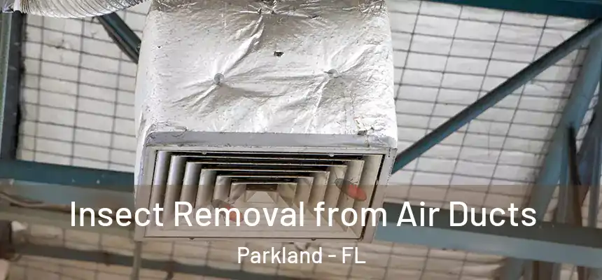  Insect Removal from Air Ducts Parkland - FL