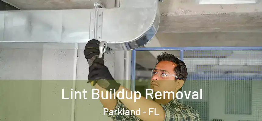  Lint Buildup Removal Parkland - FL