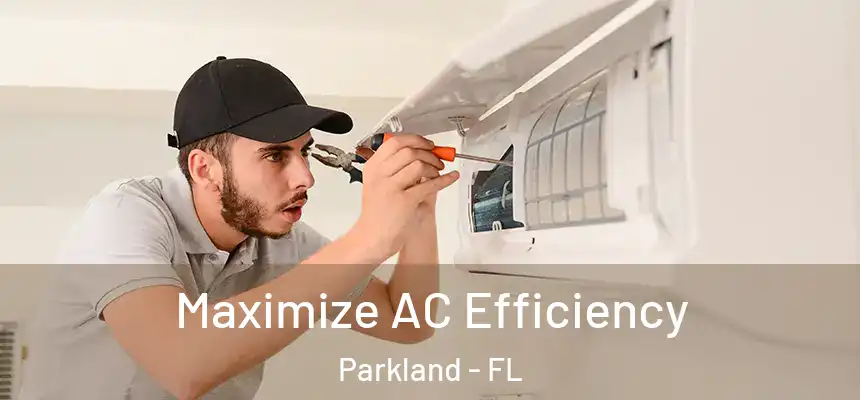  Maximize AC Efficiency Parkland - FL