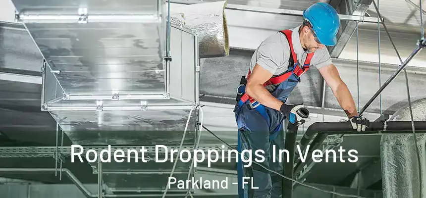  Rodent Droppings In Vents Parkland - FL