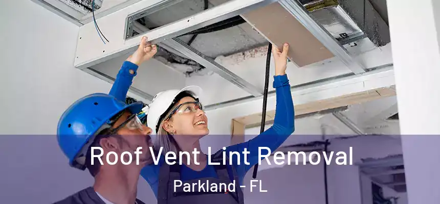 Roof Vent Lint Removal Parkland - FL