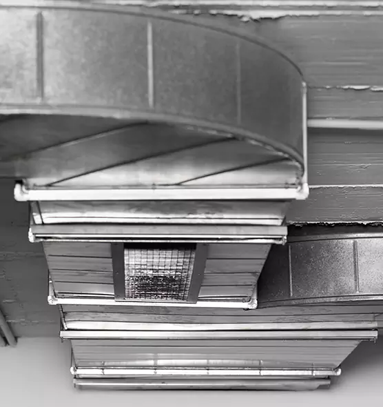 Professional Air Duct Pest Removal in Parkland, FL