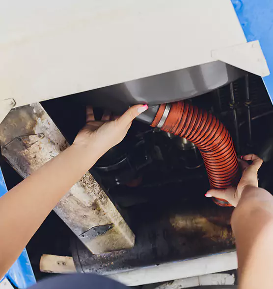 About Air Duct Virus Disinfection in Parkland, FL