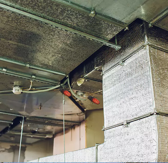 Why Homeowners & Businesses Trust Us in Parkland, FL?