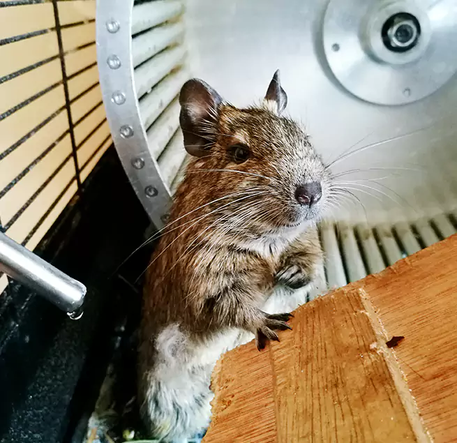 Why Homeowners & Businesses Trust Us Parkland, FL