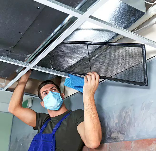 Why Homeowners Businesses Trust Us in Parkland, FL