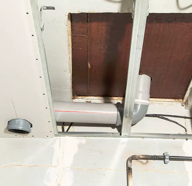 Why Homeowners & Businesses Trust Us in Parkland, FL?