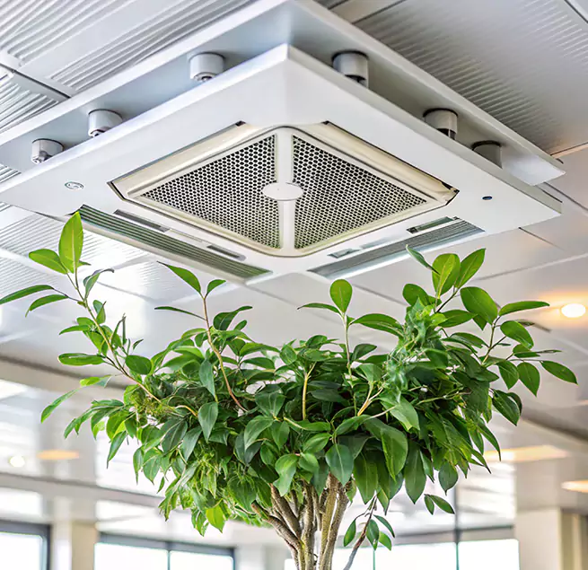 Why Homeowners & Businesses Trust Us in Parkland, FL