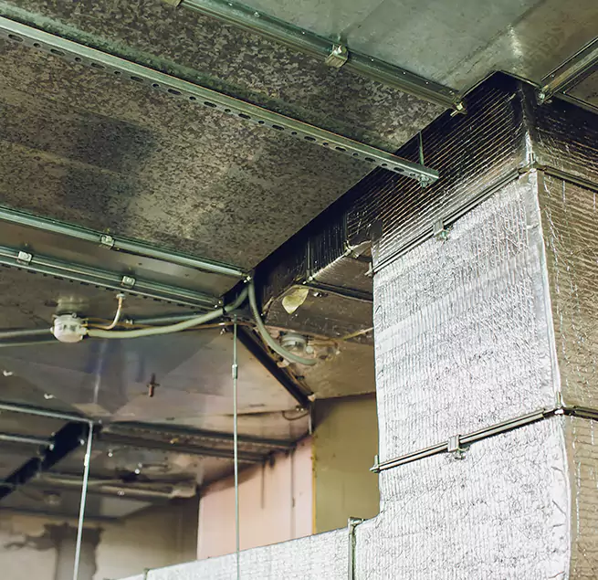 Why Homeowners & Businesses Trust Us in Parkland, FL?